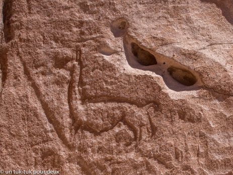 Petroglyphe - Lama